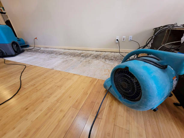 Professional Emergency Water Damage technician working in Olivia, NC